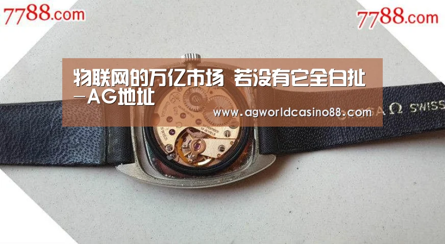 物联网的万亿市场 若没有它全白扯-AG地址(图2) AG地址