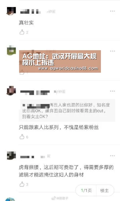 AG地址:武汉开展最大规模水上拆违(图3) AG地址