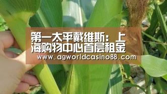 第一太平戴维斯:上海购物中心首层租金涨至27.5元/㎡/天‘AG视讯’(图1) AG视讯