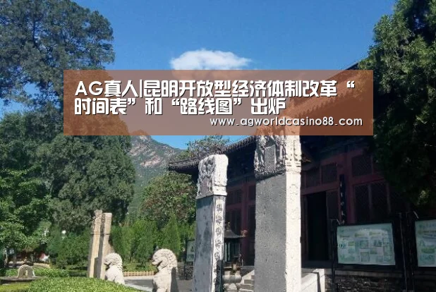 AG真人|昆明开放型经济体制改革“时间表”和“路线图”出炉(图4) AG视讯