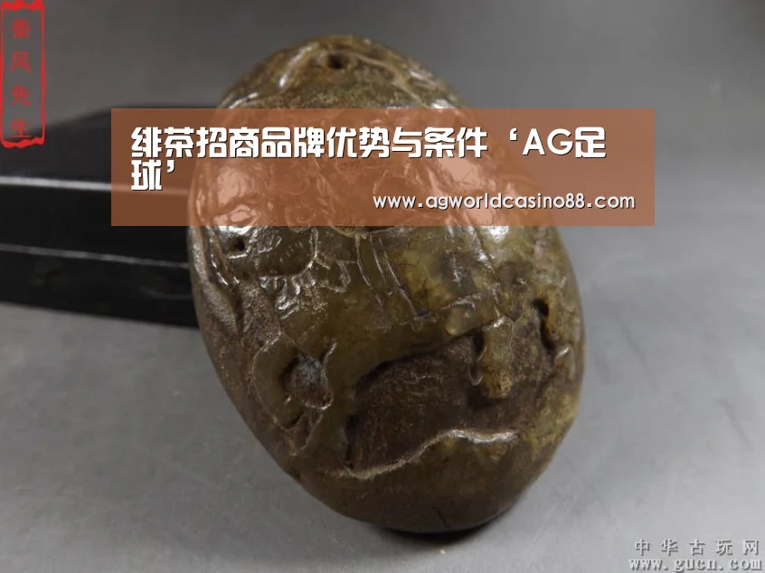 AG视讯