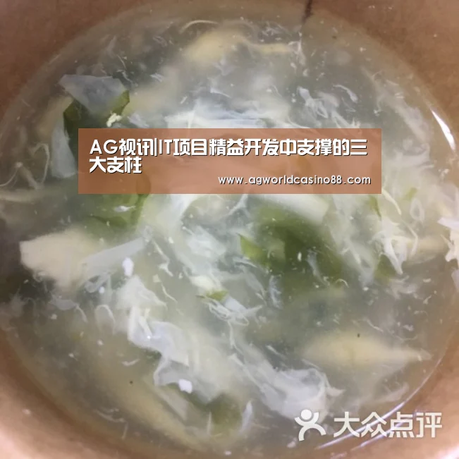 AG视讯|IT项目精益开发中支撑的三大支柱(图1) AG足球