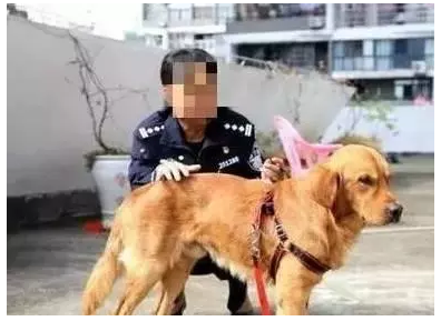 汽车四大工艺中的西门子身影“AG真人”(图1) AG足球
